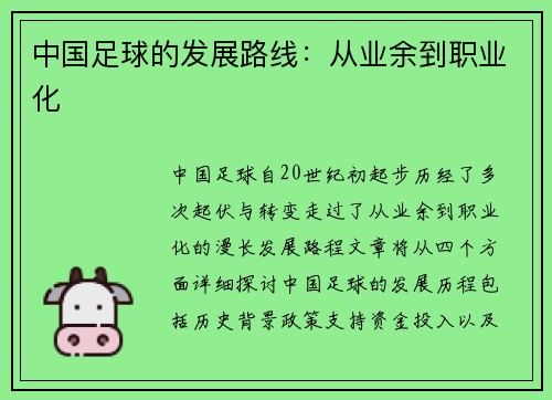 中国足球的发展路线：从业余到职业化