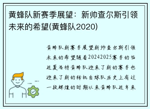 黄蜂队新赛季展望：新帅查尔斯引领未来的希望(黄蜂队2020)